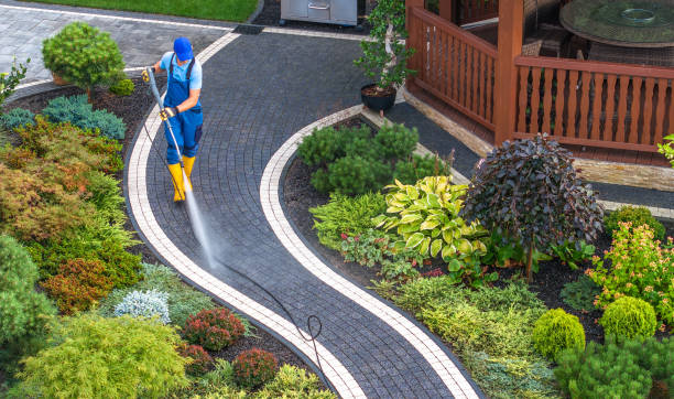 Best Affordable Pressure Washing  in George Mason, VA