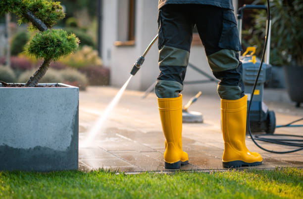 Roof Power Washing Services in George Mason, VA